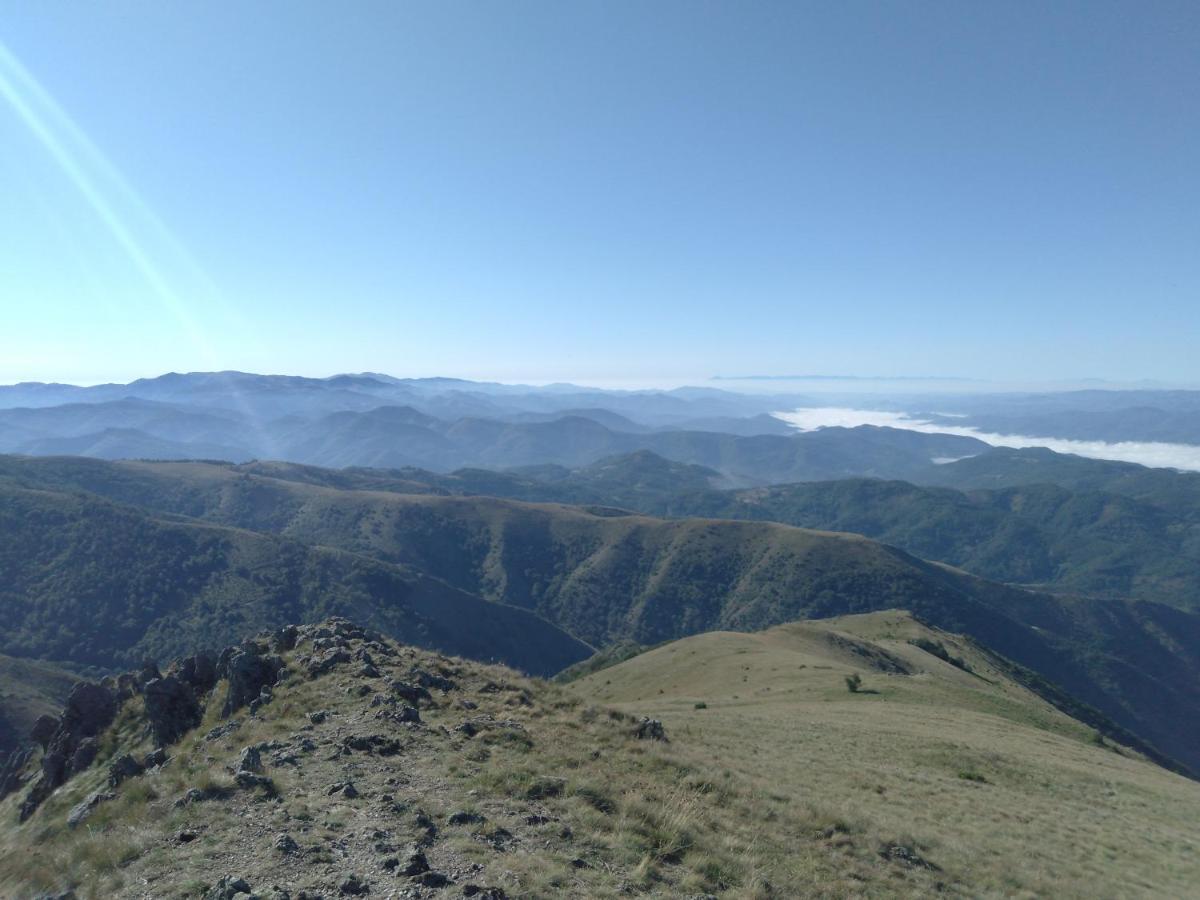 Vikendica Vila Despotovic Kopaonik Luaran gambar