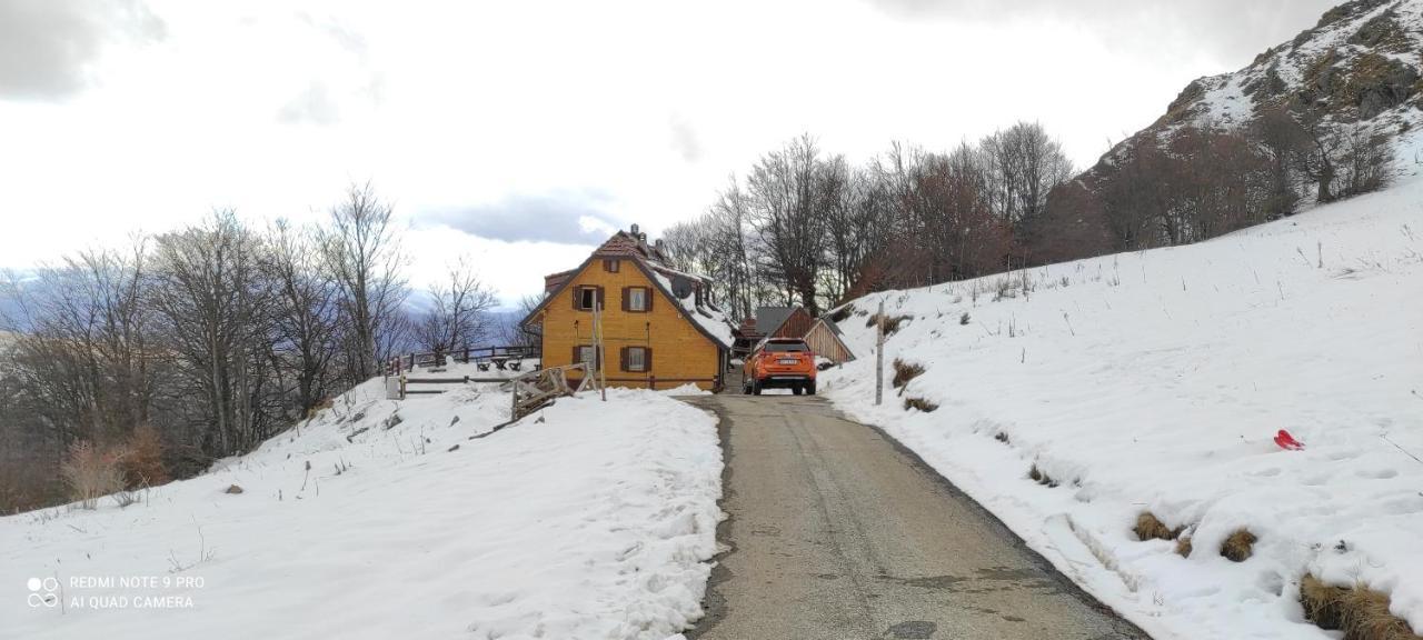 Vikendica Vila Despotovic Kopaonik Luaran gambar