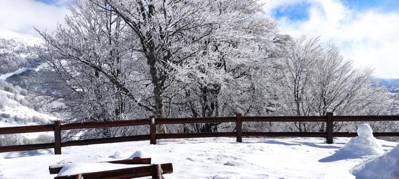 Vikendica Vila Despotovic Kopaonik Luaran gambar