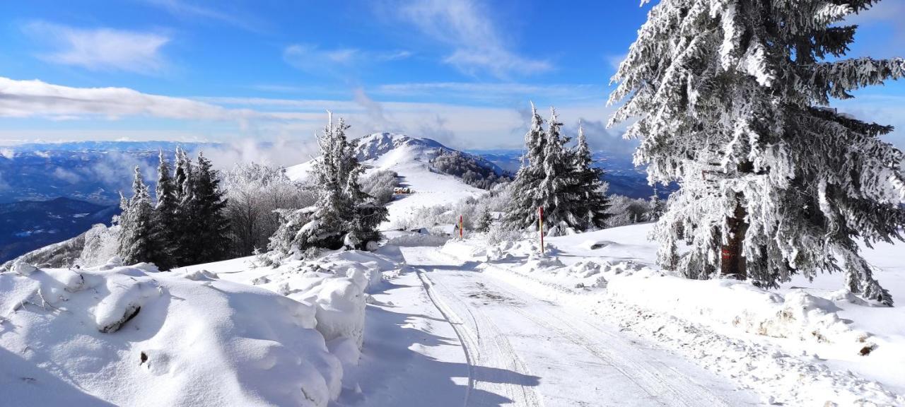 Vikendica Vila Despotovic Kopaonik Luaran gambar