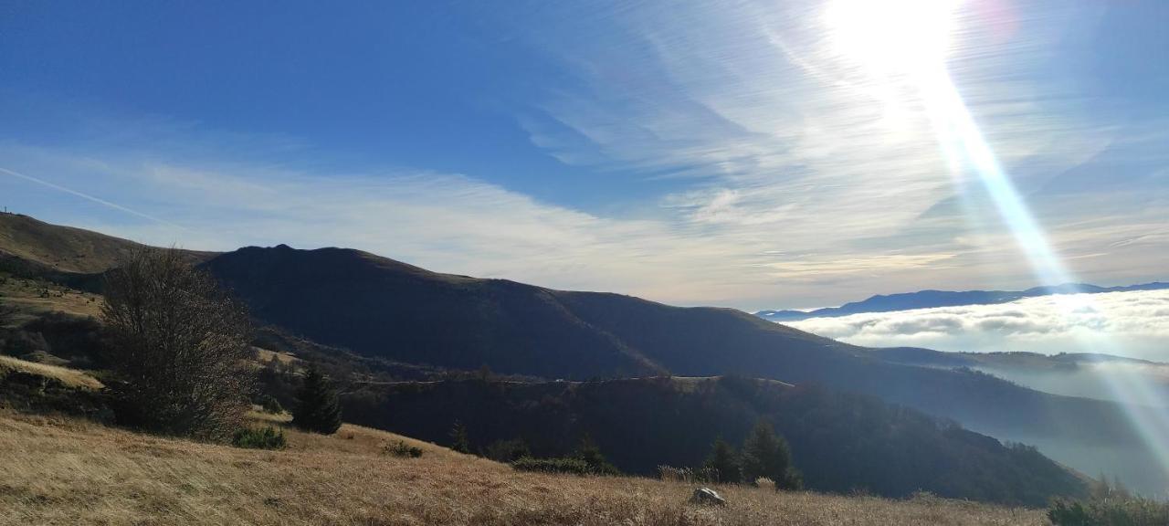Vikendica Vila Despotovic Kopaonik Luaran gambar