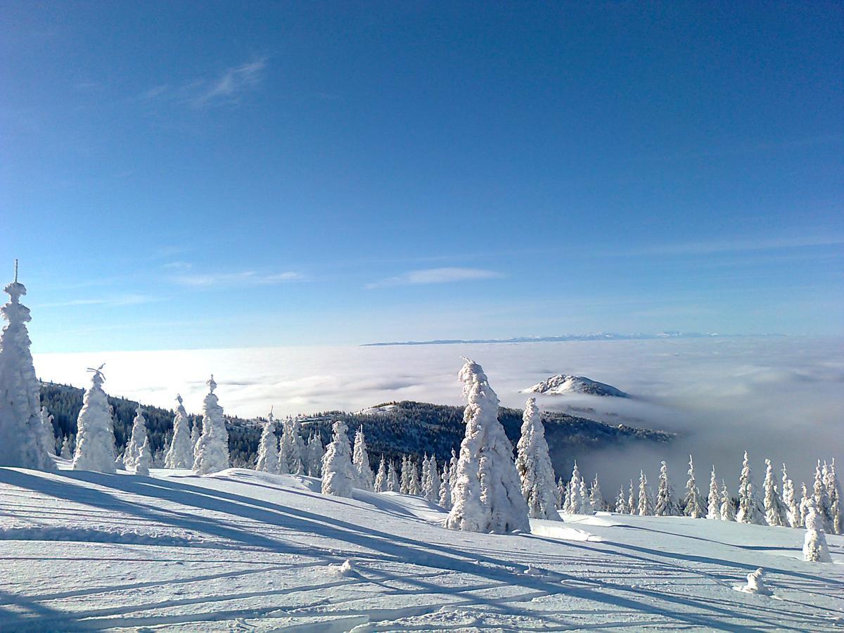 Vikendica Vila Despotovic Kopaonik Luaran gambar