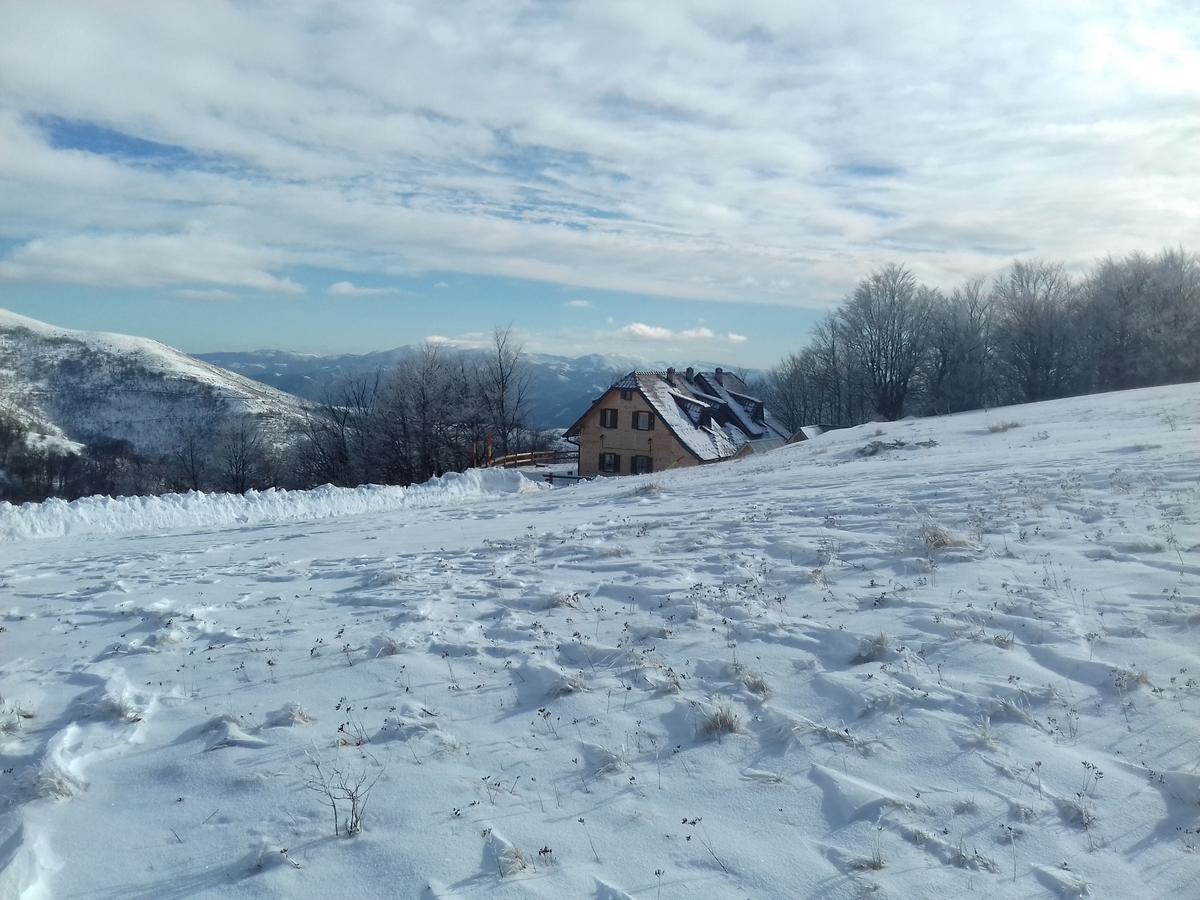 Vikendica Vila Despotovic Kopaonik Luaran gambar