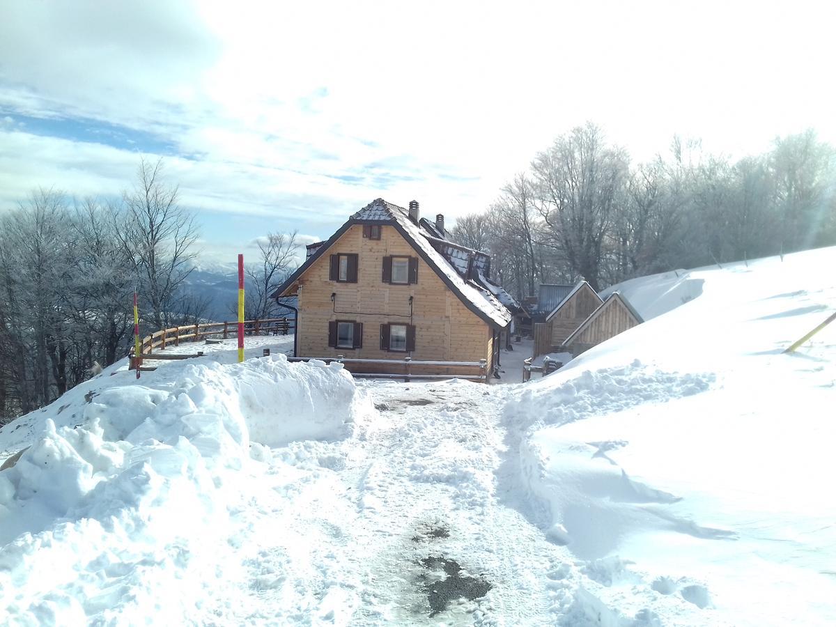Vikendica Vila Despotovic Kopaonik Luaran gambar
