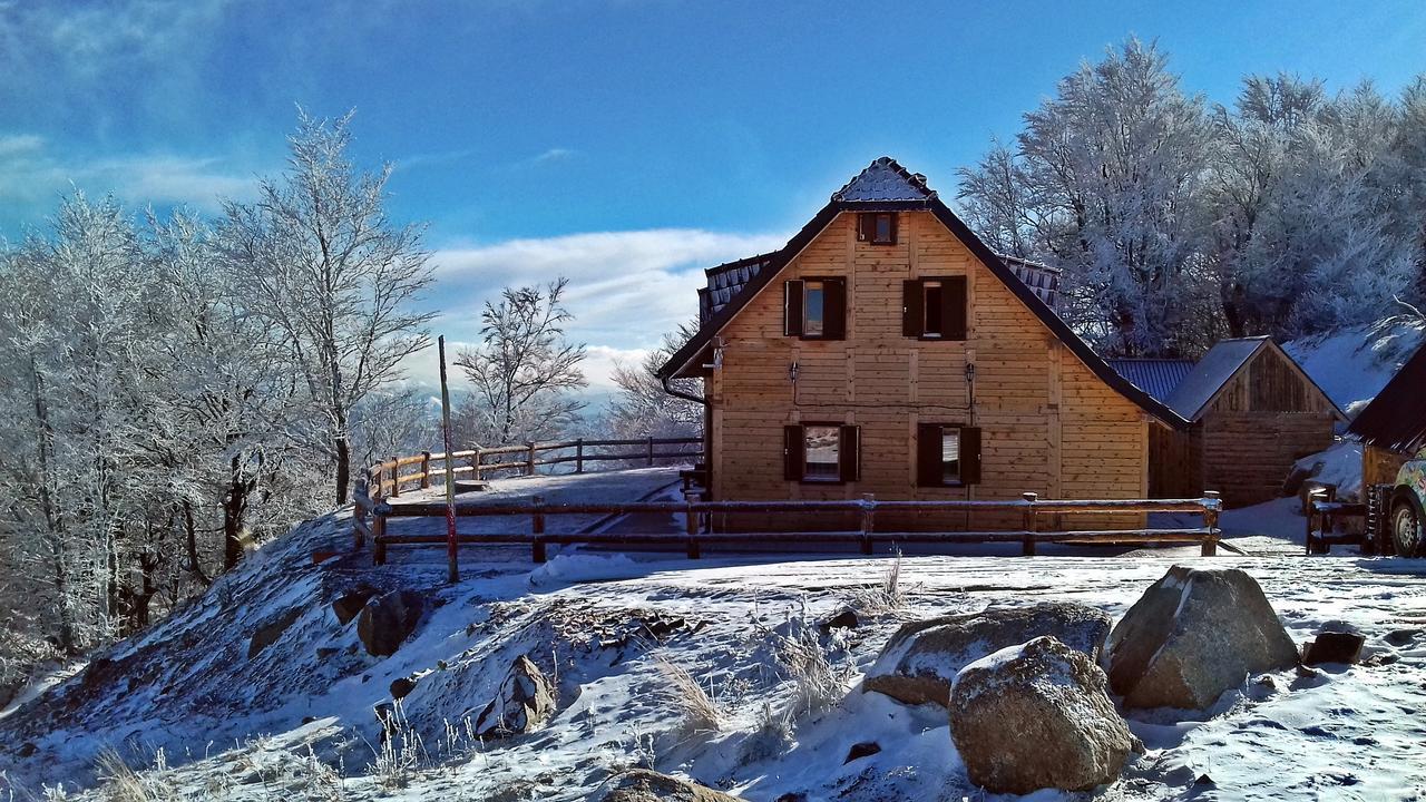 Vikendica Vila Despotovic Kopaonik Luaran gambar