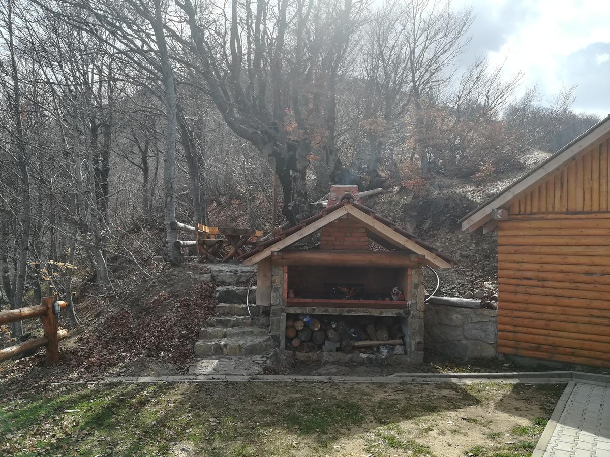 Vikendica Vila Despotovic Kopaonik Luaran gambar