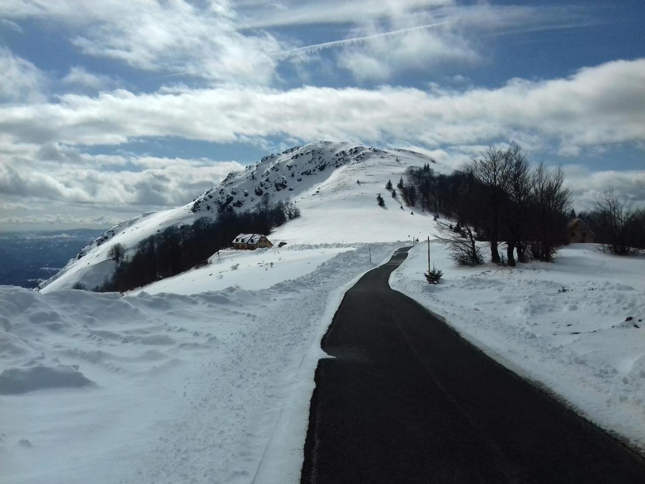 Vikendica Vila Despotovic Kopaonik Luaran gambar