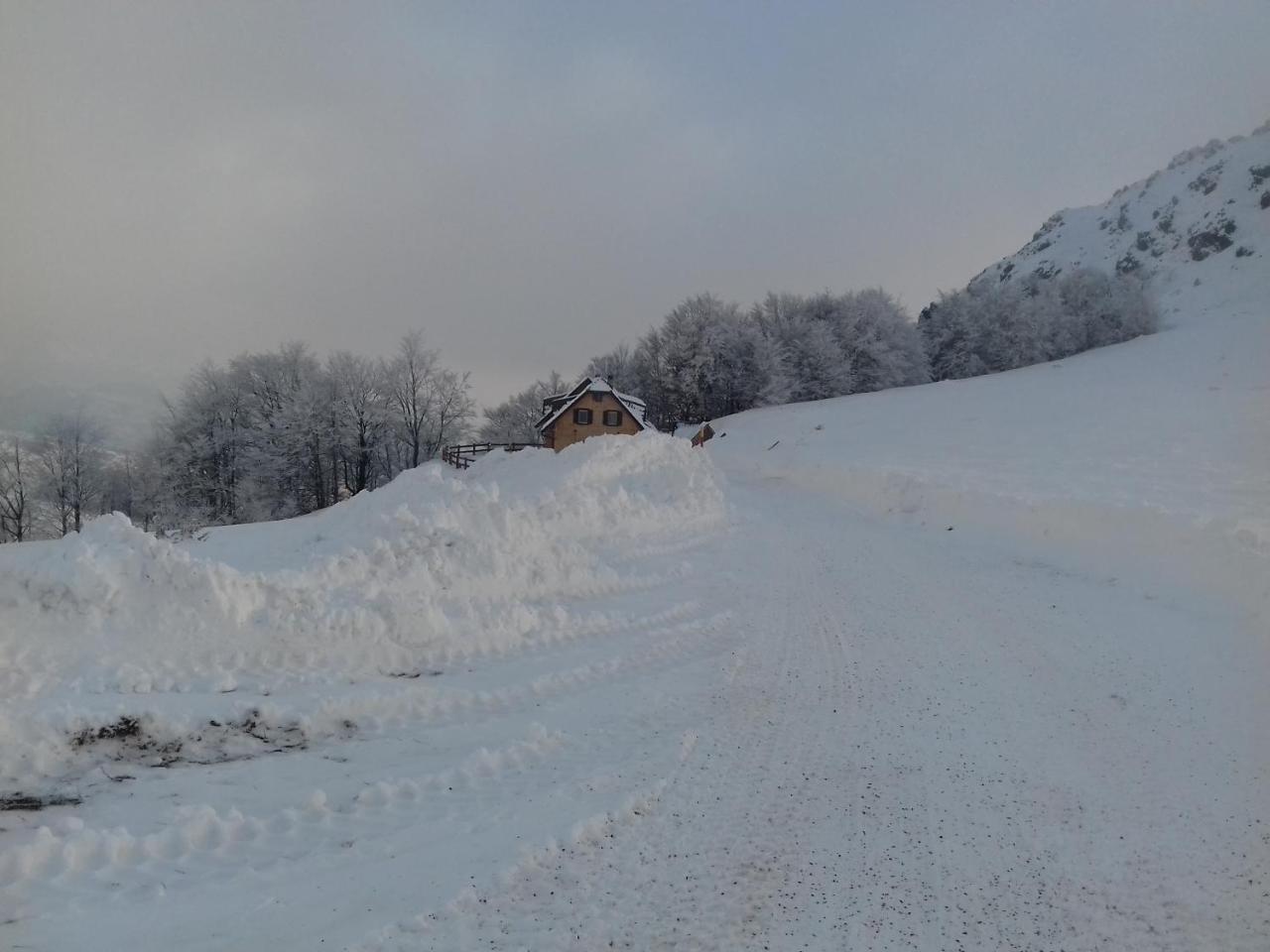 Vikendica Vila Despotovic Kopaonik Luaran gambar