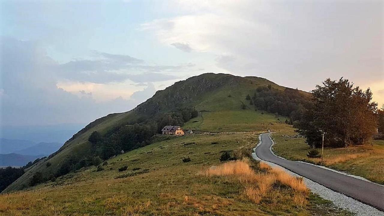 Vikendica Vila Despotovic Kopaonik Luaran gambar