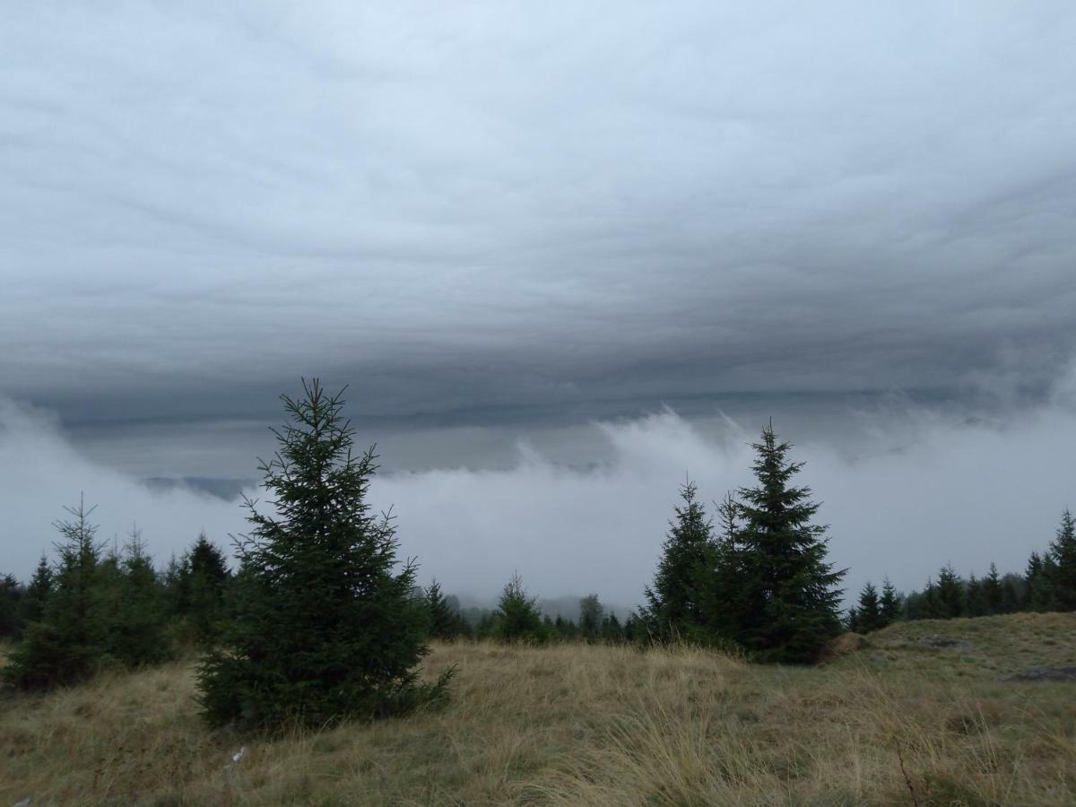 Vikendica Vila Despotovic Kopaonik Luaran gambar